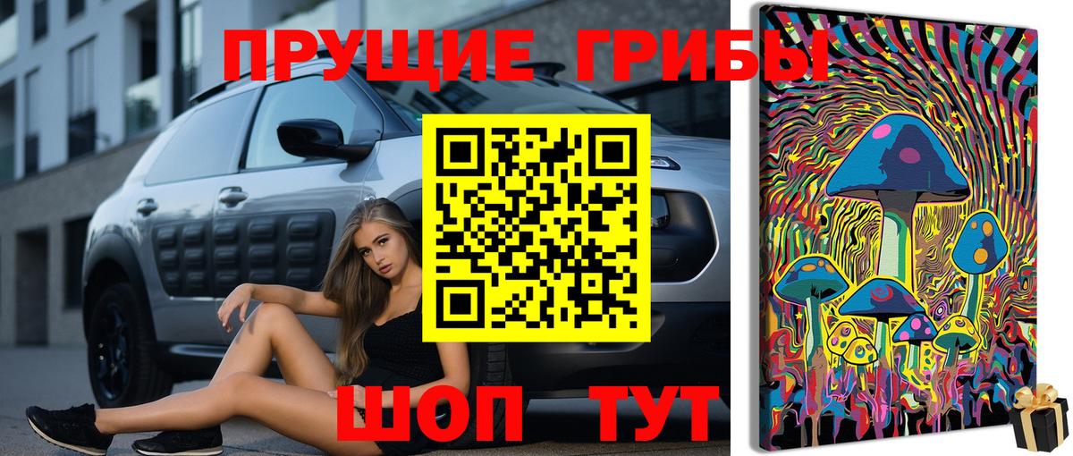 Галлюциногенные грибы GOLDEN TEACHER Корсаков