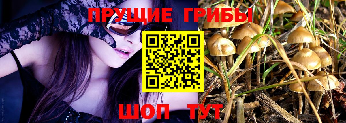 Корсаков  Галлюциногенные грибы Cubensis  Галлюциногенные грибы мухоморы  Вход с VPN 